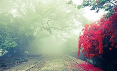 长沙雨花秋双旅游有限公司